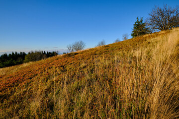 Die Wasserkuppe, der höchste Berg der Rhön im Herbst, Biosphärenreservat Rhön, Hessen, Deutschland.