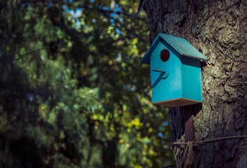 Blue wooden birdhouse in the park.