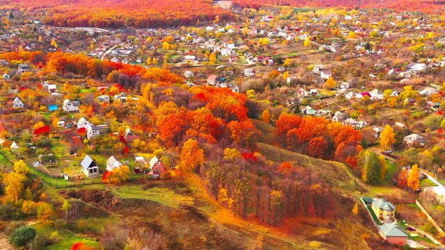 Autumn landscape. Arboretum them. Dokuchaev. 4K aerial photography.