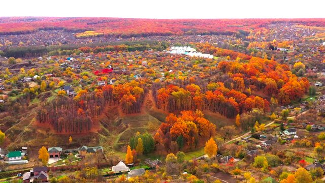 Autumn landscape. Arboretum them. Dokuchaev. 4K aerial photography.
