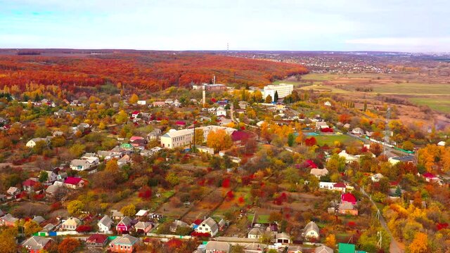 Autumn landscape. Arboretum them. Dokuchaev. 4K aerial photography.