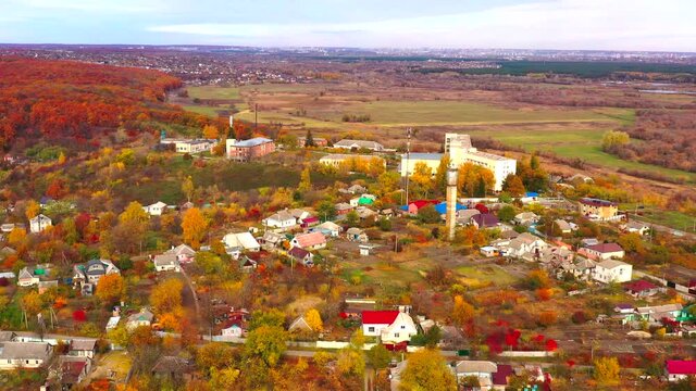 Autumn landscape. Arboretum them. Dokuchaev. 4K aerial photography.