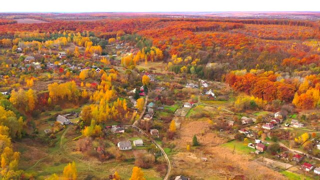 Autumn landscape. Arboretum them. Dokuchaev. 4K aerial photography.