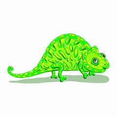 Cute green chameleon on a white background