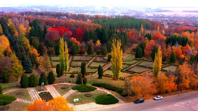 Autumn landscape. Arboretum them. Dokuchaev. 4K aerial photography.