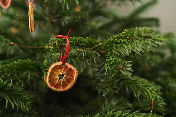 Closeup small christmas tree with dried oranges as decorations for holidays