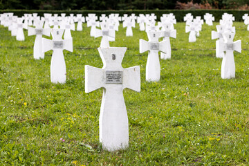 Cemetery with white crosses for soldiers of the World War II of the Ukrainian division of Galychyna.
