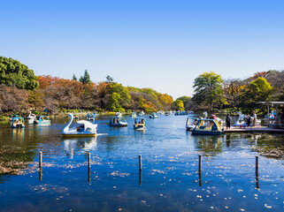 井の頭公園　秋晴れの休日