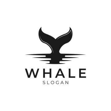 Whale Tail Logo icon design vector