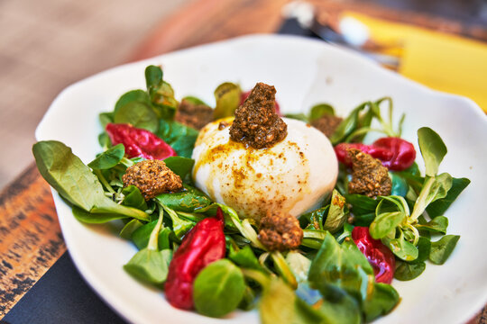 Beautiful burrata cheese with pesto on lambs lettuce salad image
