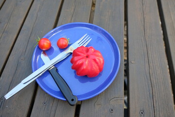 FU 2020-08-22 Paprika 33 Auf dem blauen Teller liegt eine Paprika neben zwei Tomaten und Besteckt