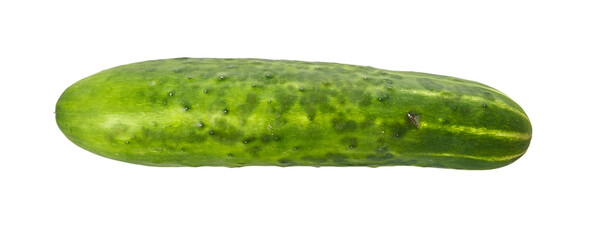  Single cucumber isolated on a white background