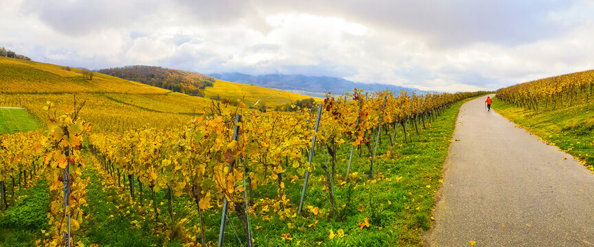 Weinberg_112046