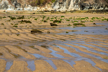 Lombok low tide with seaweed