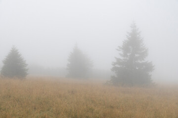 Fototapeta na wymiar Das Riesengebirge im Nebel