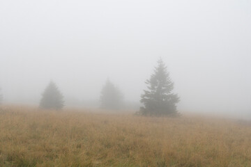 Fototapeta na wymiar Das Riesengebirge im Nebel