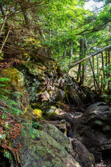 日本百名山　男体山七合目に続く登山道