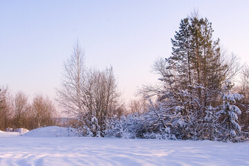 Beautiful winter landscape with snow-covered trees. Frosty trees at sunset.
