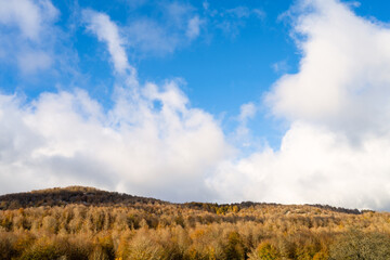 Colourful autumn trees on a hill, blue sky and majestic clouds.