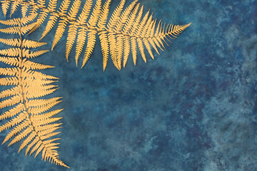 Gold fern leaf border on mottled blue background. Nature design concept. Top view, flat lay, copy...
