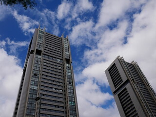 Torres y flamboyán