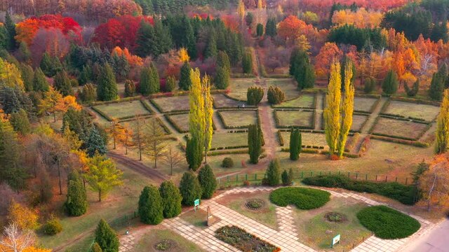 Autumn landscape. Arboretum them. Dokuchaev. 4K aerial photography.