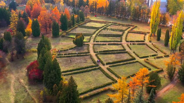 Autumn landscape. Arboretum them. Dokuchaev. 4K aerial photography.