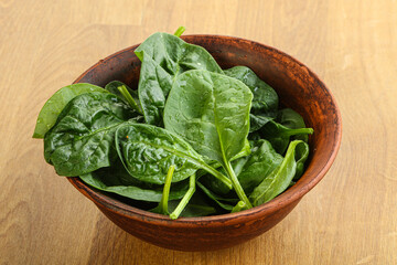 Fresh green spinach leaves in the bowl