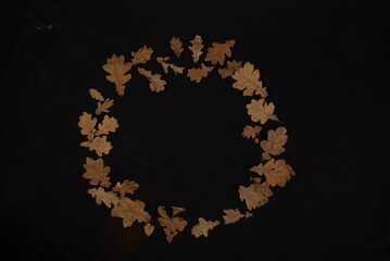 Frames of dry leaves on a black background.