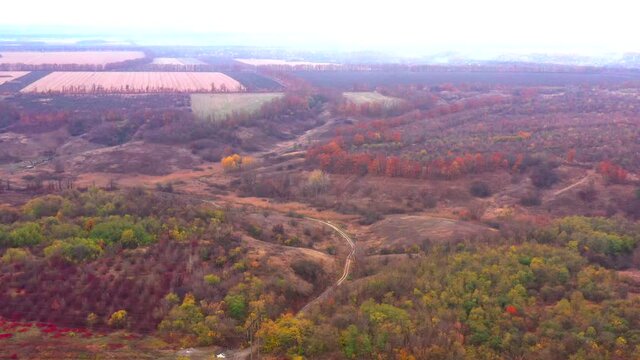 Autumn landscape. Arboretum them. Dokuchaev. 4K aerial photography.