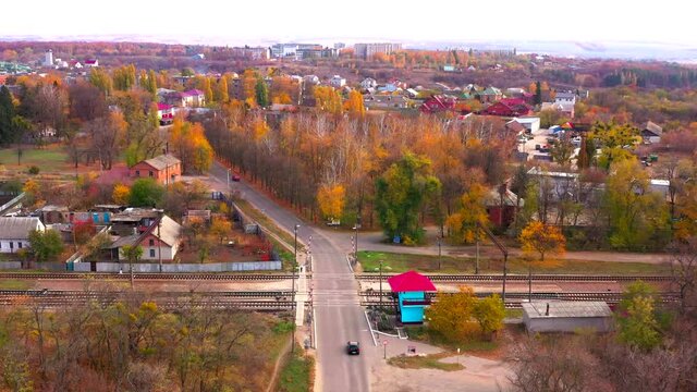 Autumn landscape. Arboretum them. Dokuchaev. 4K aerial photography.