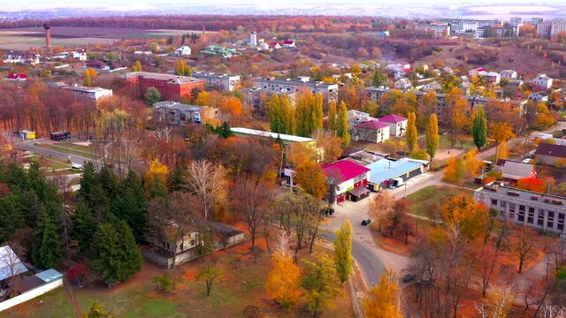 Autumn landscape. Arboretum them. Dokuchaev. 4K aerial photography.