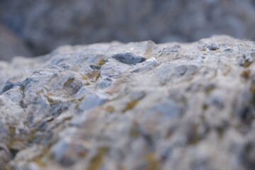 texture background
