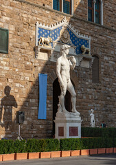 David statue and the frontispice of the Palazzo Vecchio in Florence, Italy