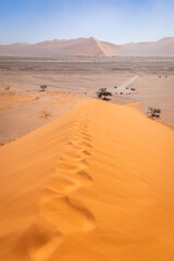 Fototapeta na wymiar Breathtaking view of dune 45, Sossusvlei, Namibia.