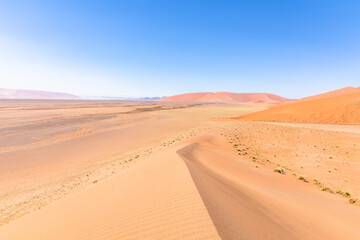 Fototapeta na wymiar Beautiful sand dunes, perfectly shaped, at dune 45, Sossusvlei, Namibia.