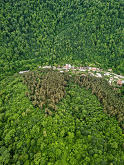 Fototapeta na wymiar Drone view of a mountain valley with dense forests and a road along which houses and villages have grown. Ecosystem and the lungs of the planet