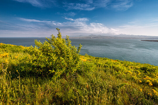 Idyllic landscape with meadow and the famous Lake Sevan - one of the largest sources of fresh water in Armenia and the whole Transcaucasia.