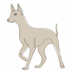 brown dog one line drawing isolated