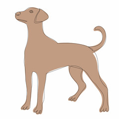 brown dog one line drawing isolated, vector