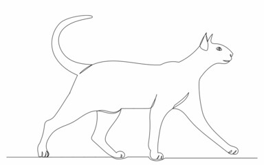 cat walking one line drawing isolated