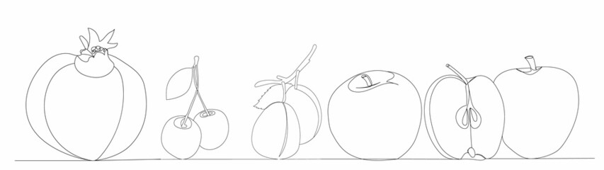 fruit drawing one line isolated, vector