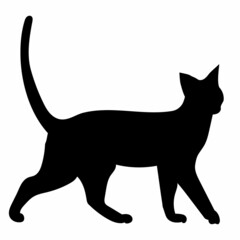 cat black silhouette,  on white background