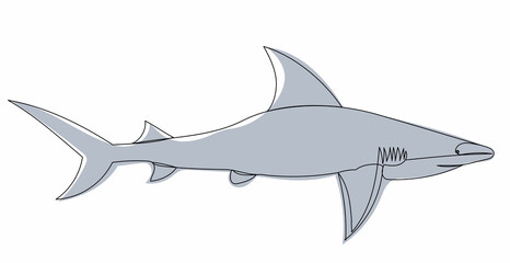  shark one line drawing isolated, vector