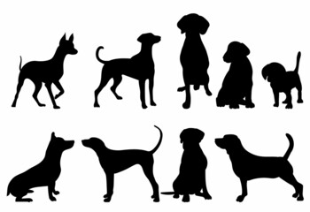 set of dog silhouette, isolated, vector
