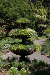 Sydney Australia, garden feature of fountain filled with summer flowers