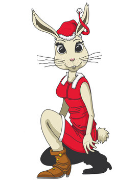 Lapin de No&euml;l