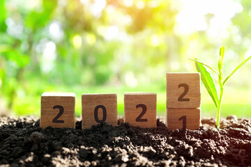 Changing year 2021 to 2022 in wooden blocks cubes with growing plant at sunrise. New year 2022,...