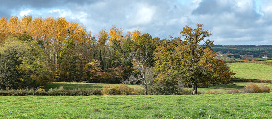 Campagne en automne