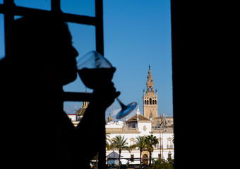 Copa de vino y giralda